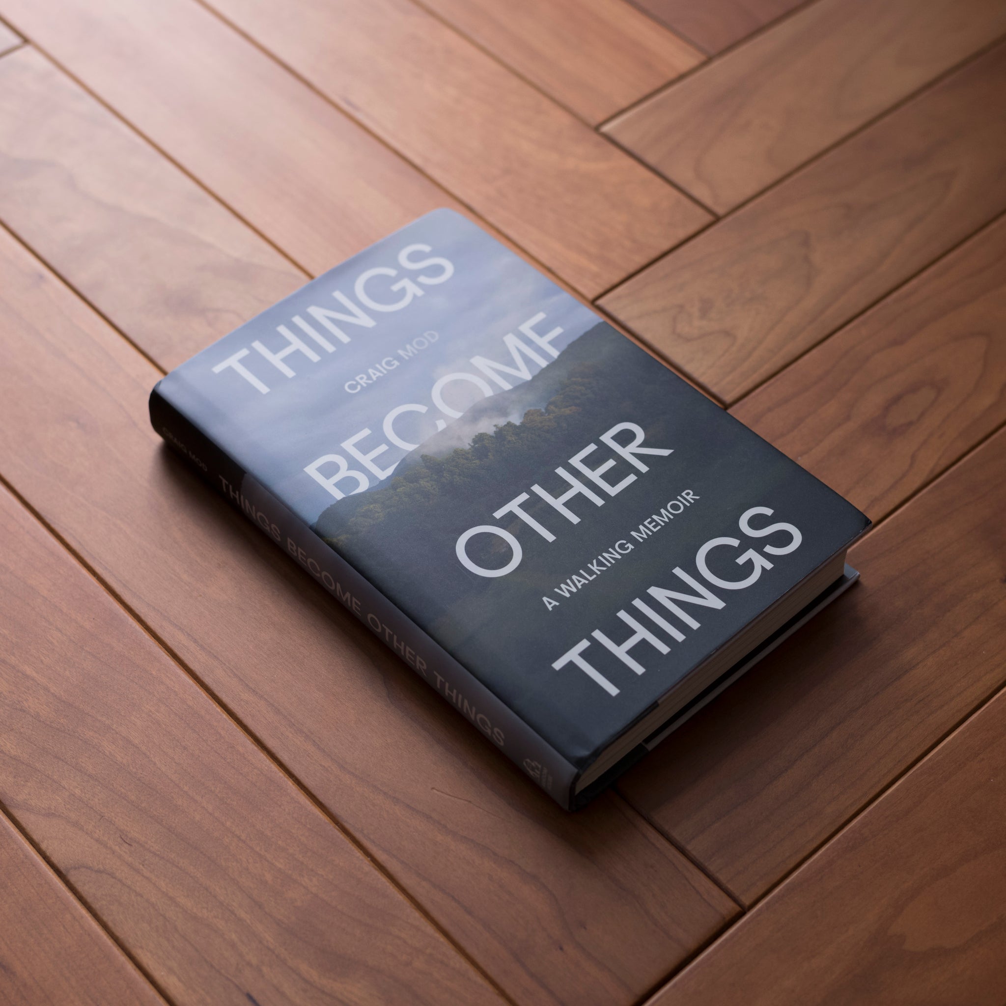 品質保証 Things Become Other Things (2025) – SPECIAL PROJECTS アート・デザイン・音楽